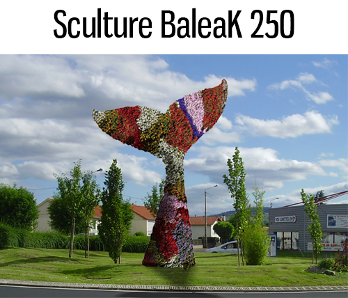 fiche Baleak 250